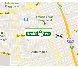 Store Locator Map
